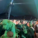 Motionless In White Drummer Criticizes Fan For Bringing Dog Into The Audience Of Scranton Show