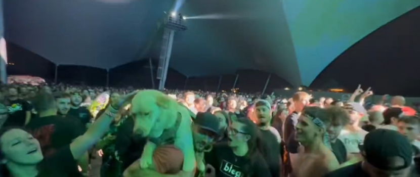 Motionless In White Drummer Criticizes Fan For Bringing Dog Into The Audience Of Scranton Show