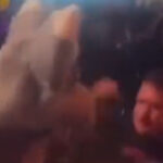 Police Seeking To Identify Crowd Killing Fan Who Struck A Furry At 'Heavy Hitters IV' Festival