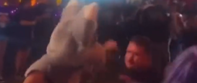 GoFundMe Launched For Furry Masked Concertgoer Punched By Crowd Killer At Recent Metalcore Festival