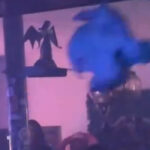 A Flying Severed Pig Head Made An Appearance In The Pit Of A Recent Houston, TX Metal Show (Updated)