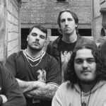 Domain Stream New Track "Noix et Boules"