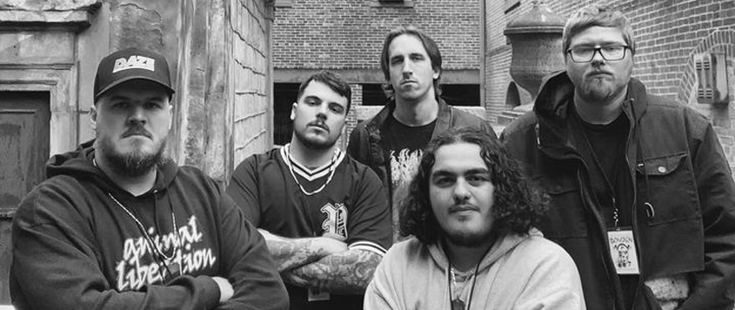 Domain Stream New Track "Noix et Boules"