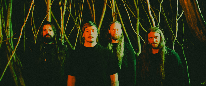 Perpetua Premiere "Resolve" Video