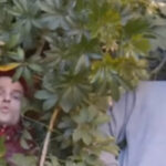 Ex-Fever 333 Bandmates Stephen Harrison & Aric Improta Announce New Band House Of Protection