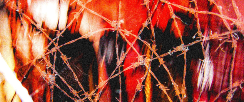 New Void Of Vision Album "What I'll Leave Behind" Expected Out In September