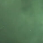 Watch Bad Omens Perform With Poppy, HEALTH & ERRA's JT Cavey At Arlington, TX Show