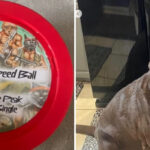 Belushi Speed Ball Escalate Their War Against Green Day's "Dookie" Demastered By Releasing A Song On Actual Dog Dookie