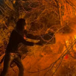 Wednesday 13 Recently Stopped A Music Video Shoot To Help Thwart Some Suspected Arson In California
