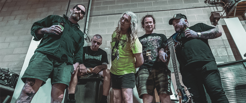 King Parrot Launch First Single From Their New Album "A Young Person's Guide To King Parrot"