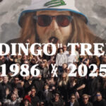 MGK Joined By Avenged Sevenfold & Bring Me The Horizon Members On Tribute To Luke "The Dingo" Trembath