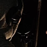 Ill Niño Have Begun Tracking A New Album With Their Mystery Singer Following Their 'IllMortals' Fiasco