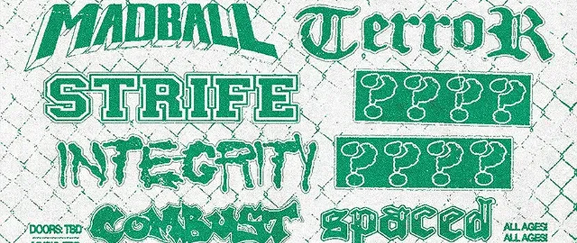 More Bands Announced For 2025 'Snow And Flurry' Festival