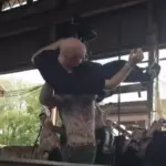 Watch Haywire's Austin Sparkman Deliver An Onstage Powerbomb Through A Table At The 2025 'Furnace Fest'