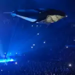 Gojira's Latest Live Performance Of "Flying Whales" Featured An Actual Giant Flying Whale