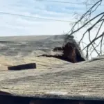 Ex-Stray From The Path Drummer Craig Reynolds Reveals His Nashville House Was Destroyed In A Storm Last Christmas