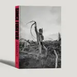 Pearl Jam's Jeff Ament Announces His New Book/Visual Memoir 'Since Forever'