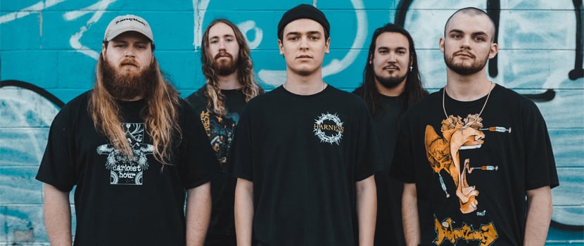 KNOCKED LOOSE - Mistakes Like Fractures (COVER)