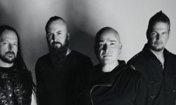 Disturbed
